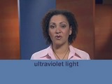 Видеокурс English Bites. Урок 26. Garden Railways