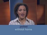 Видеокурс English Bites. Урок 37. Weather words