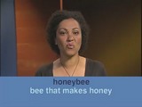 Видеокурс English Bites. Урок 53. Bees