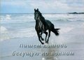 Мастер-класс художника Игоря Сахарова. Лошадь бегущая по волнам