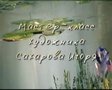 Мастер-класс художника Игоря Сахарова. Заросший пруд